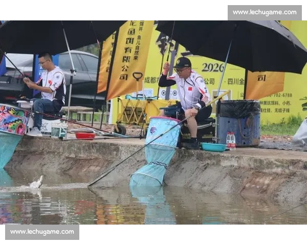 黑坑钓鱼比赛高手制胜全流程技巧与临场应变策略深度解析实战精要